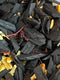Bergamot Saffron & Orange Oud – Bakhoor Incense, Sweet Orange Peel, Leathery Real Oud, No Synthetic